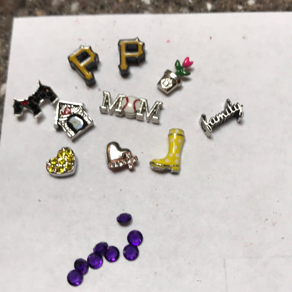 Lot of Origami Owl charms
